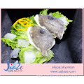 Frozen John Dory fillet seafood